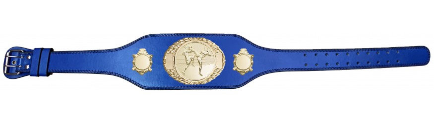 THAI BOXING CHAMPIONSHIP BELT-BUD295/G/TBOG-4 COLOURS